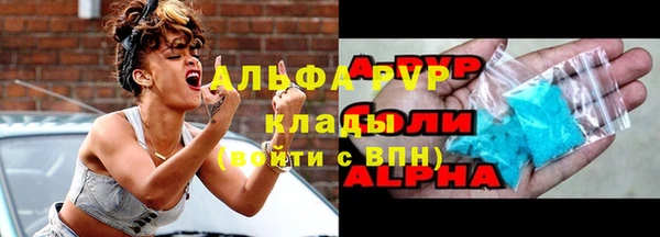 спиды Аркадак