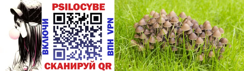 наркотики  Аркадак  Галлюциногенные грибы Magic Shrooms 